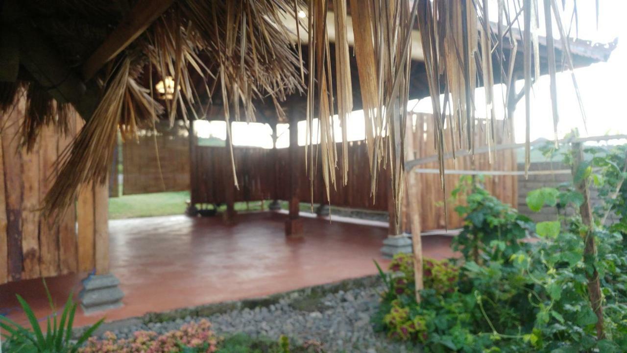 Bali Tiger Surf and Beach Camp Hotel Pulukan Exterior foto
