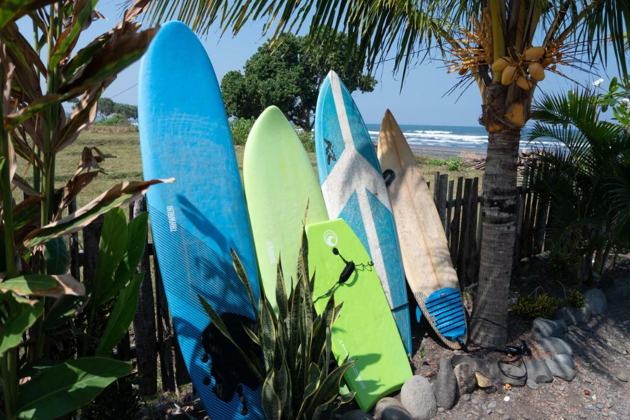 Bali Tiger Surf and Beach Camp Hotel Pulukan Exterior foto